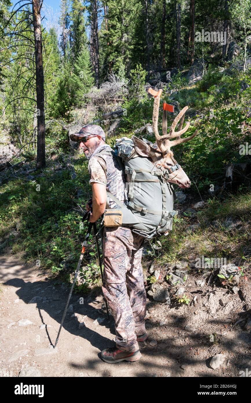 Un cacciatore e la sua preghiera vicino a Grand Lake, Colorado, USA Foto Stock