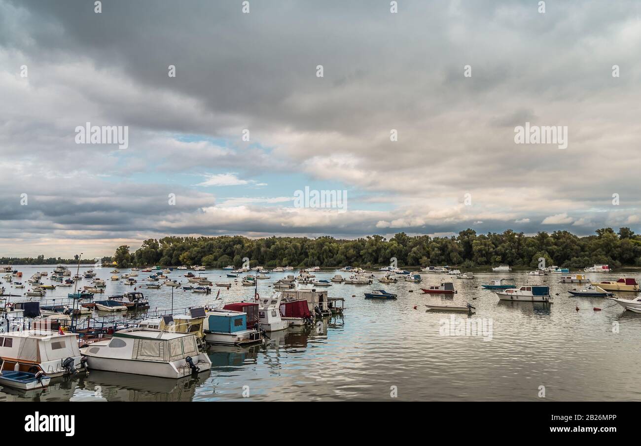 Molte piccole barche da pesca ancorate sul Danubio. Vista da Zemun parte di Belgrado. Spiaggia del Lido Foto Stock