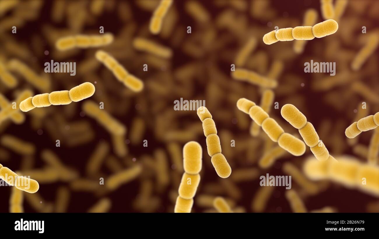 Cellule batteriche di Streptococcus pneumonia. 3D rendering sfondo microscopico. Foto Stock