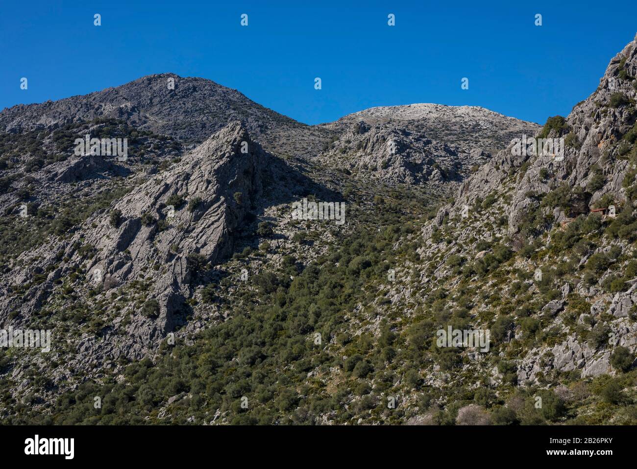Paesaggio della Sierra de Grazalema in provincia di Malaga, Andalusia, Spagna. Foto Stock