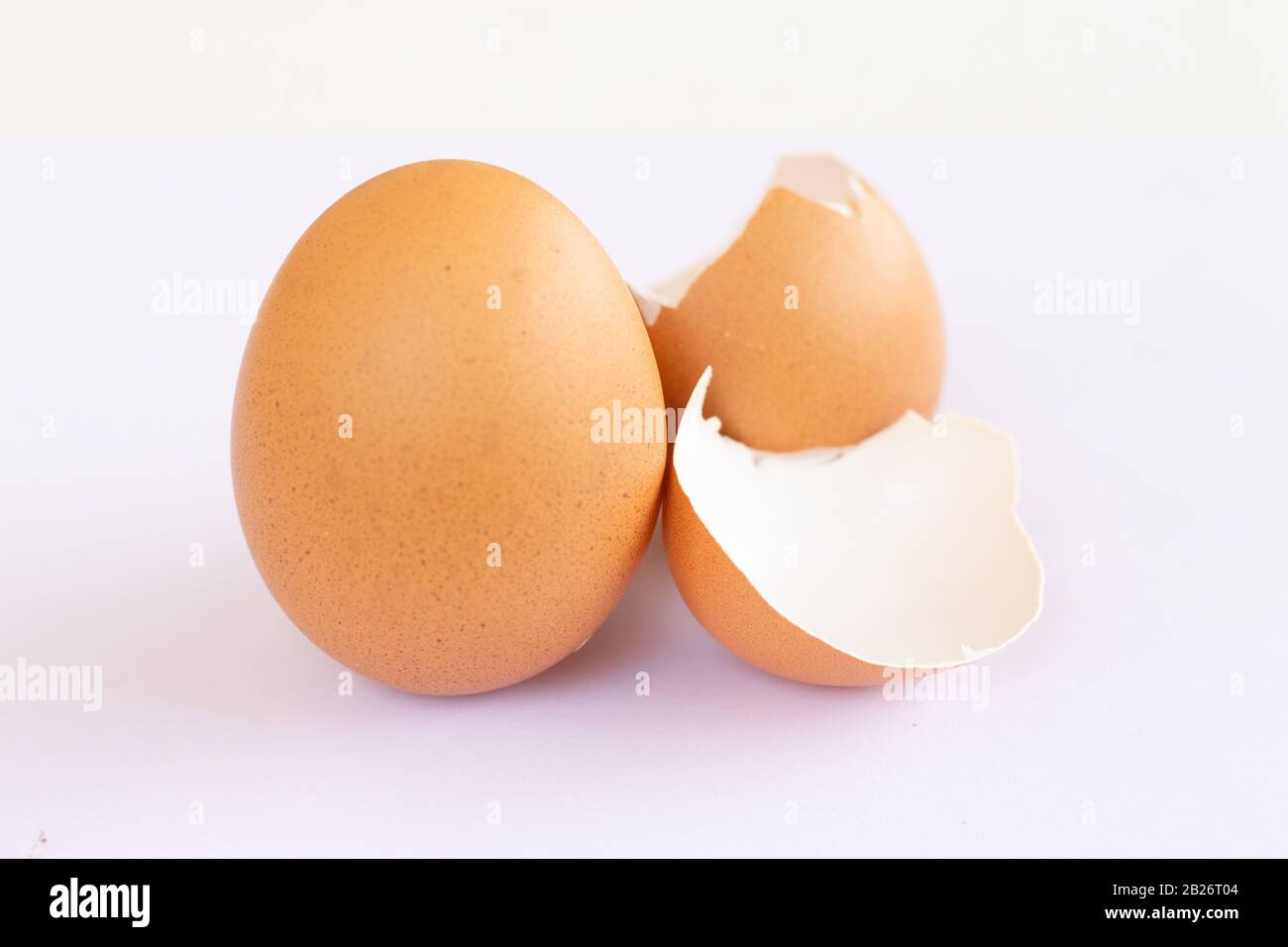 Un uovo marrone che si adagina su un guscio d'uovo rotto su uno sfondo bianco. Foto Stock
