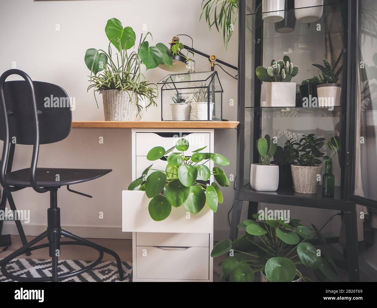 Moderna sala di studio industriale in bianco e nero con numerose piante verdi come le piante di pancake e cactus che creano una sensazione giungla urbana. Foto Stock