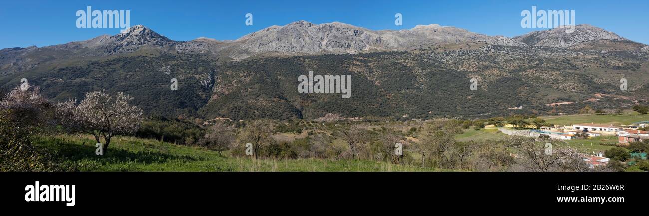 Vista panoramica della Sierra de Grazalema dal villaggio di Jimera de Libar nella provincia di Malaga, Andalusia, Spagna. Foto Stock