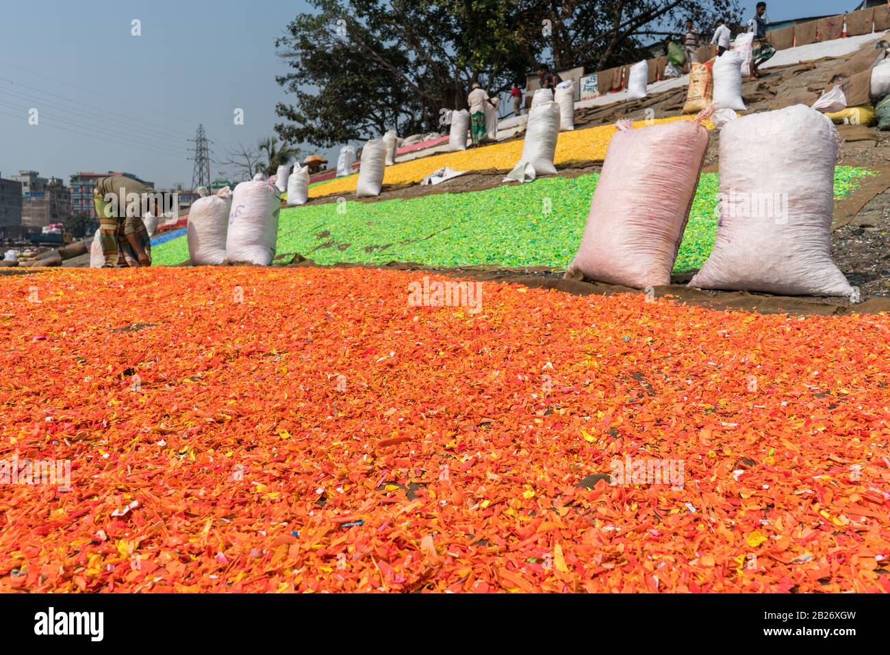 Pezzi di plastica tagliati multicolore lavati per il riciclaggio a Dhaka, Bangladesh Foto Stock