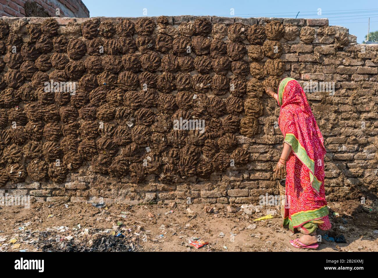 Donna indiana in rosa sari che asciugano polpette di sterco di mucca su un muro per usare come combustibile Foto Stock