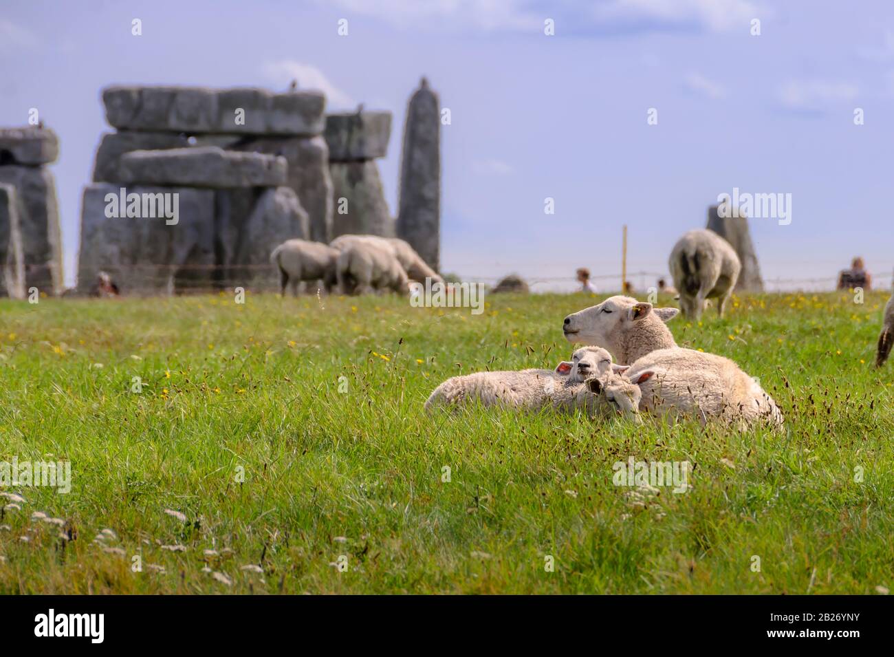 Addormentati con la mamma al sole a Stonehenge Foto Stock