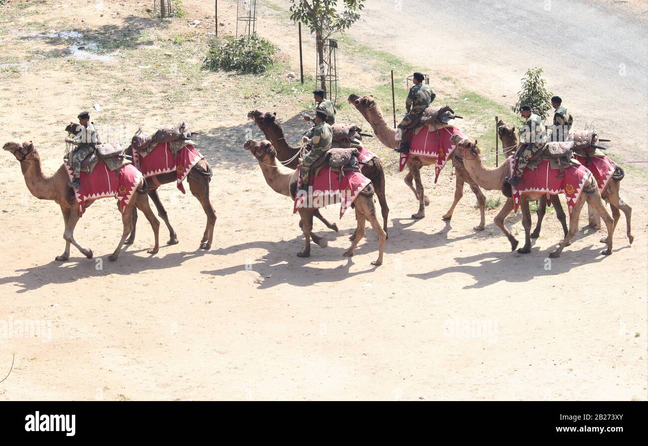 Soldati BSF con cammelli prima della visita del Presidente degli Stati Uniti, il Sig. Donald Trump a Motera/Ahmedabad/Gujarat/India Foto Stock