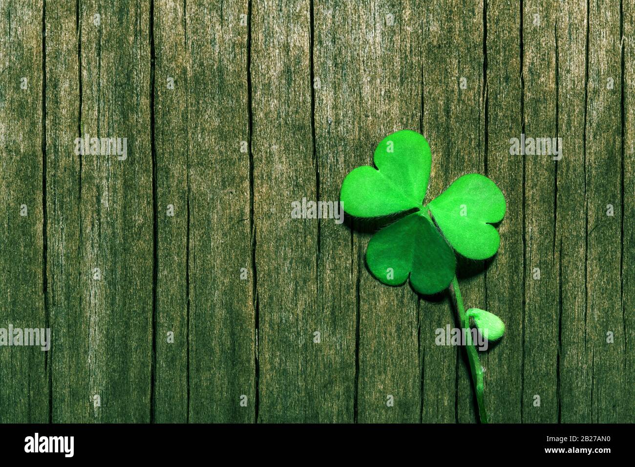 Shamrock foglia su sfondo verde shabby legno. Giornata di San Patrizio, focus selettivo. Foto Stock