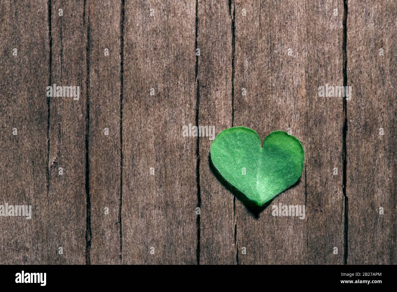 Parte a forma di cuore della foglia di shamrock su sfondo di legno shabby. San Patrizio, San Valentino. Simbolo dell'amore. Messa a fuoco selettiva. Foto Stock