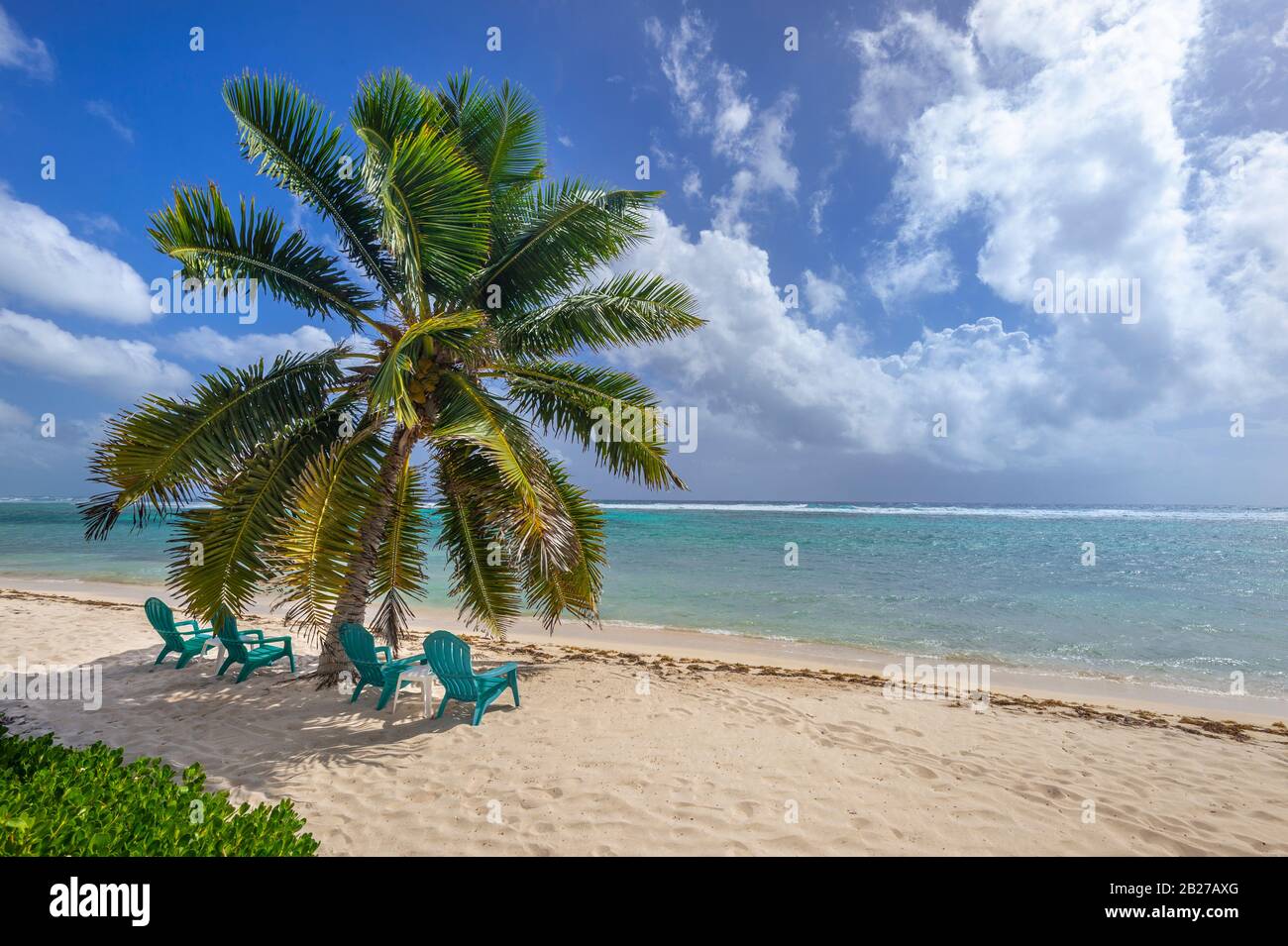 Sedie da spiaggia e palme sulla spiaggia, Grand Cayman Island Foto Stock