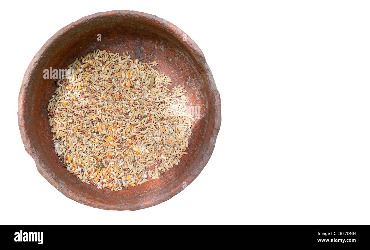 Vassoio di alimentazione degli uccelli isolato sullo sfondo bianco con percorso di ritaglio. Foto Stock