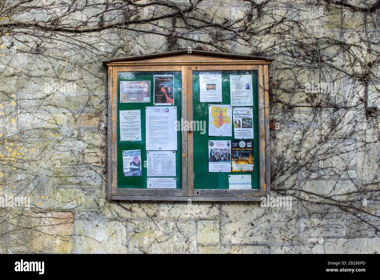Una bacheca in legno e vetro con avvisi attuali fissati ad un muro con i resti di un impianto di climber intorno ad esso nella frazione di Turleigh in Wiltsh Foto Stock