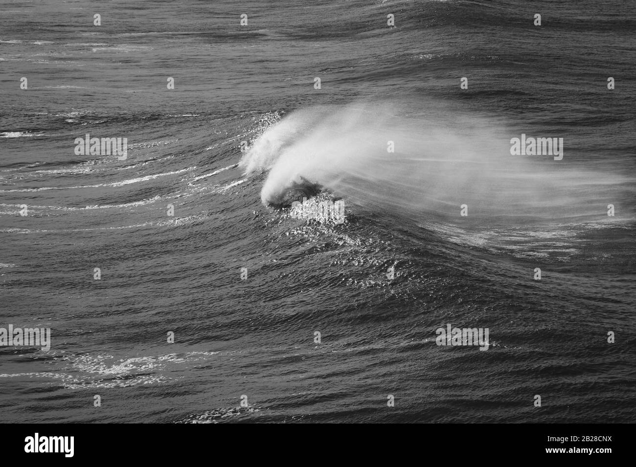 Grande onda di rottura Ocean. Onda forte Foto Stock