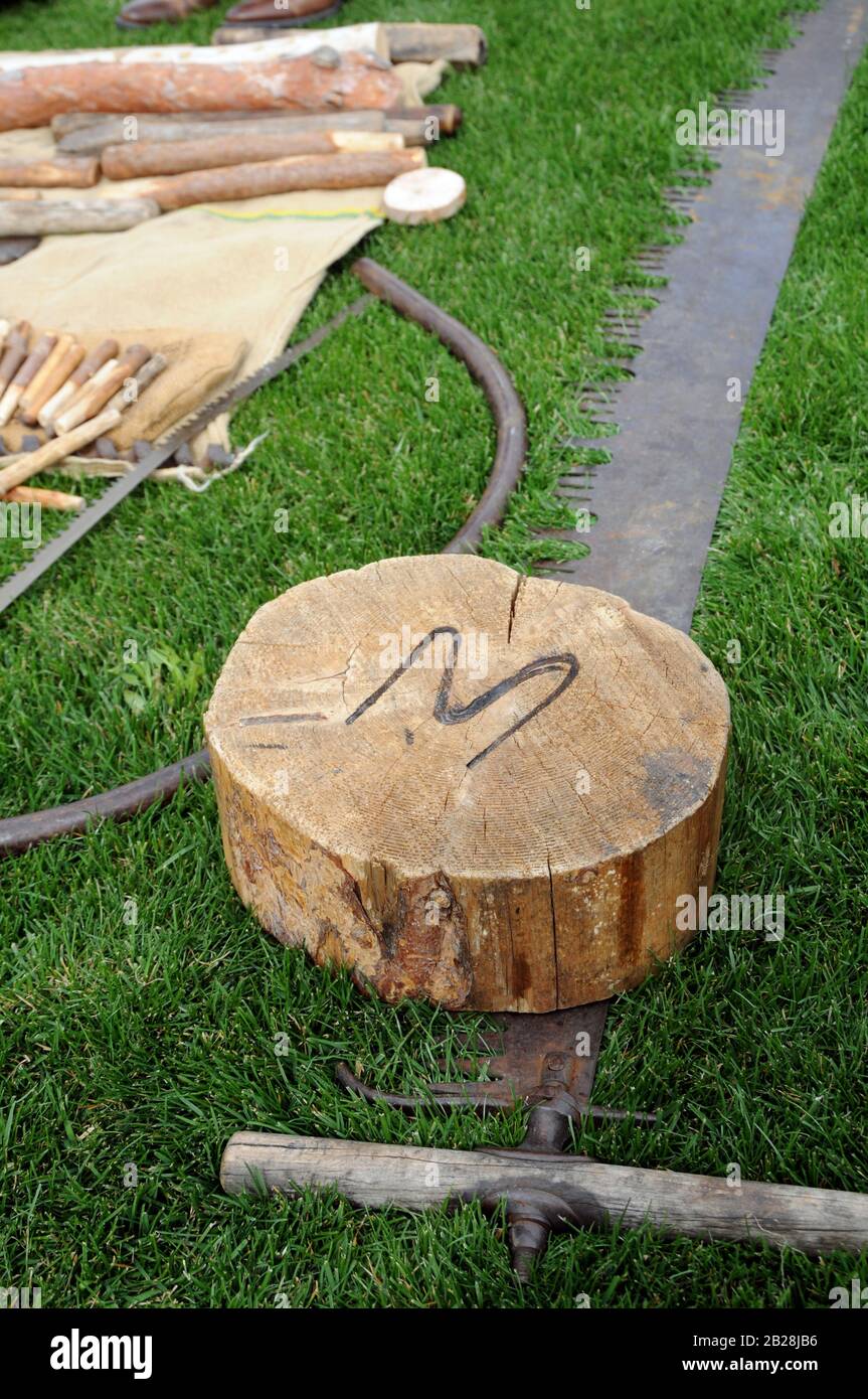 Tondo di legno con un marchio bruciato nel legno rotondo con un manico di legno sega a croce e altri strumenti di taglio antichi Foto Stock