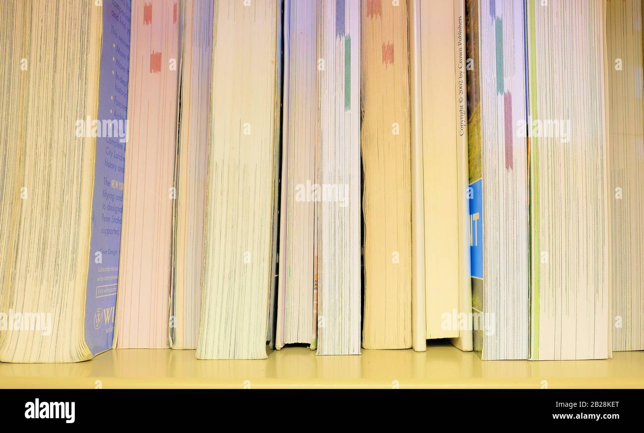 Bordo anteriore di numerosi libri che si trovano l'uno accanto all'altro su una libreria; l'altro lato di una colonna vertebrale del libro; i bordi verticali esterni delle pagine dei libri. Foto Stock