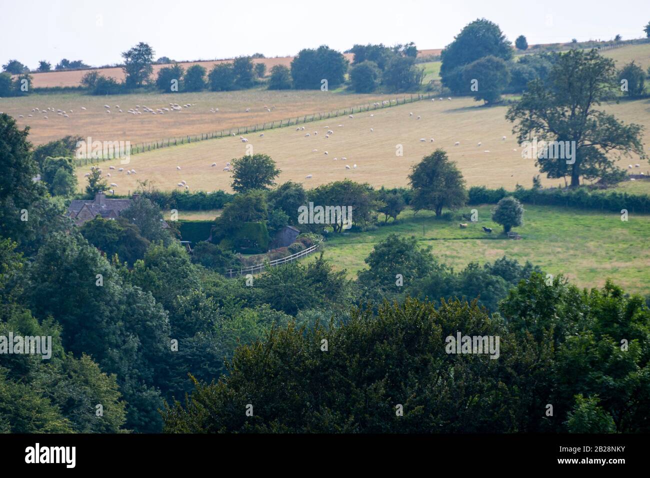 Campi Su Colline Cotswold, Snowshill, Gloucestershire, Cotswolds, Inghilterra Foto Stock