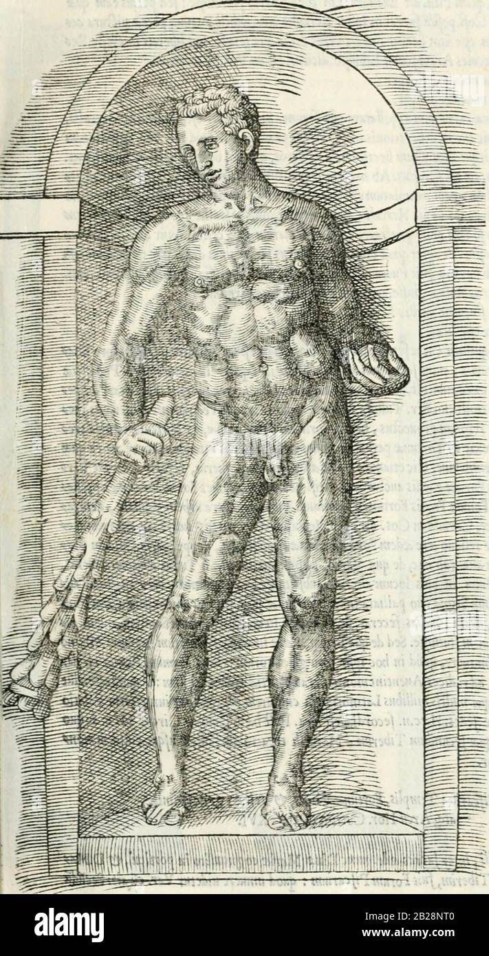 'Vrbis Romae topographia' (1544) Foto Stock