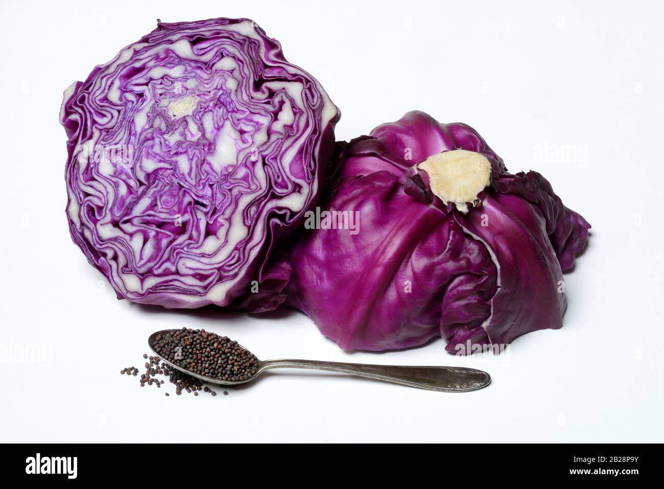 Semi di cavolo rosso in cucchiaio e cavolo rosso, Germania Foto Stock