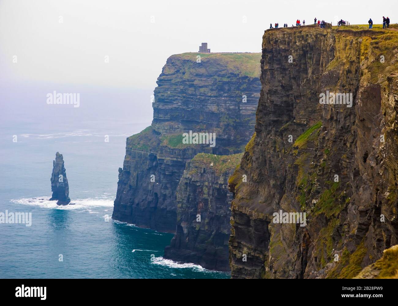 Scogliere Di Moher, Costa Sud Ovest, County Clare, Repubblica D'Irlanda Foto Stock