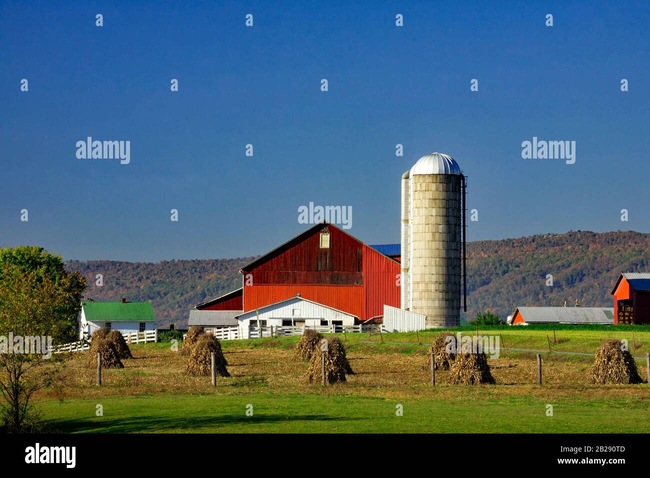 Gli shock del mais in una fattoria casearia nell'Amish influenzarono l'insediamento di Kishacoquillas Valley, Mifflin County, Pennsylvania Foto Stock