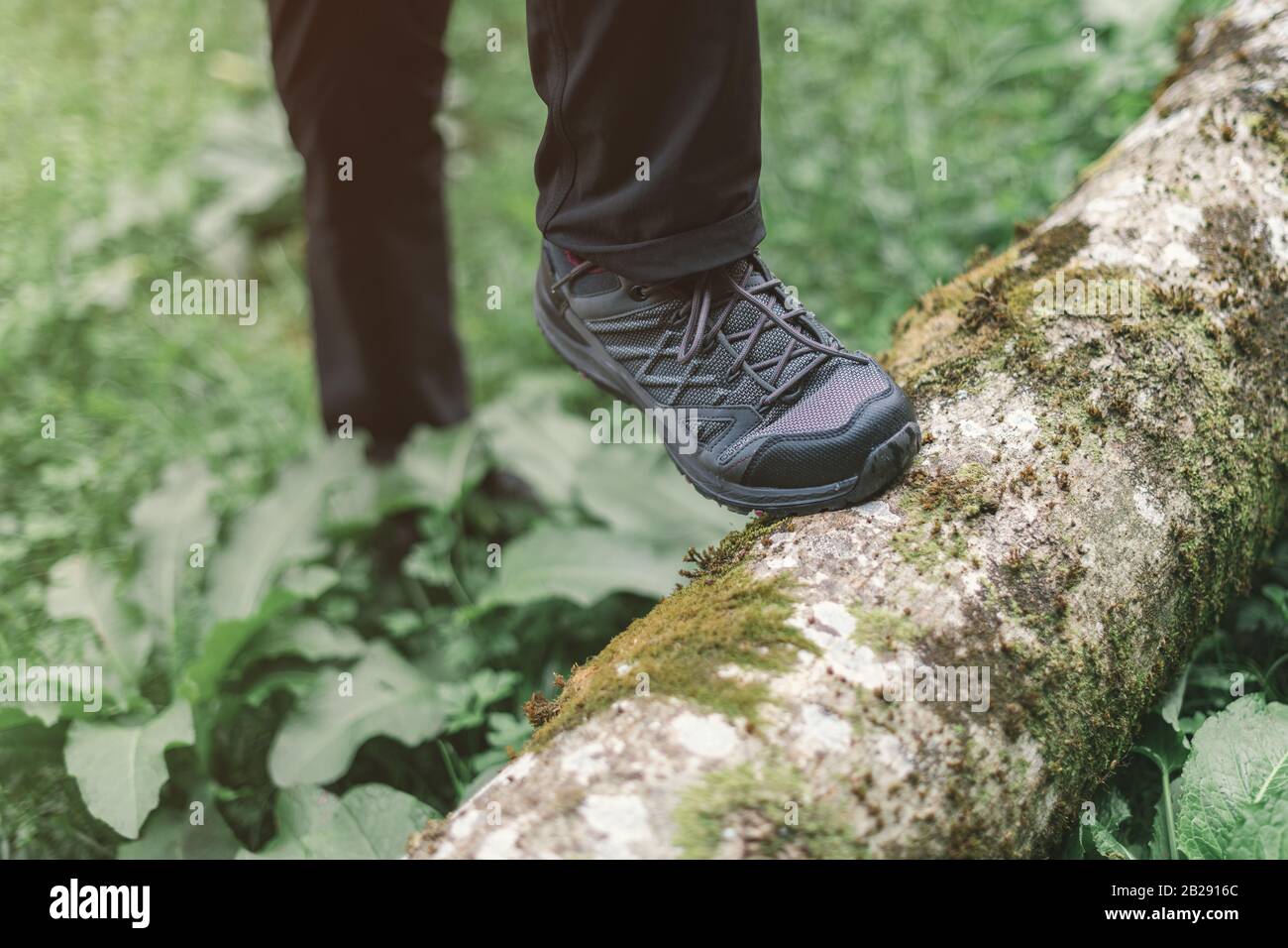 Escursionismo calzatura trekking nei boschi, il fuoco selettivo della femmina piedi degli escursionisti a piedi nella foresta Foto Stock