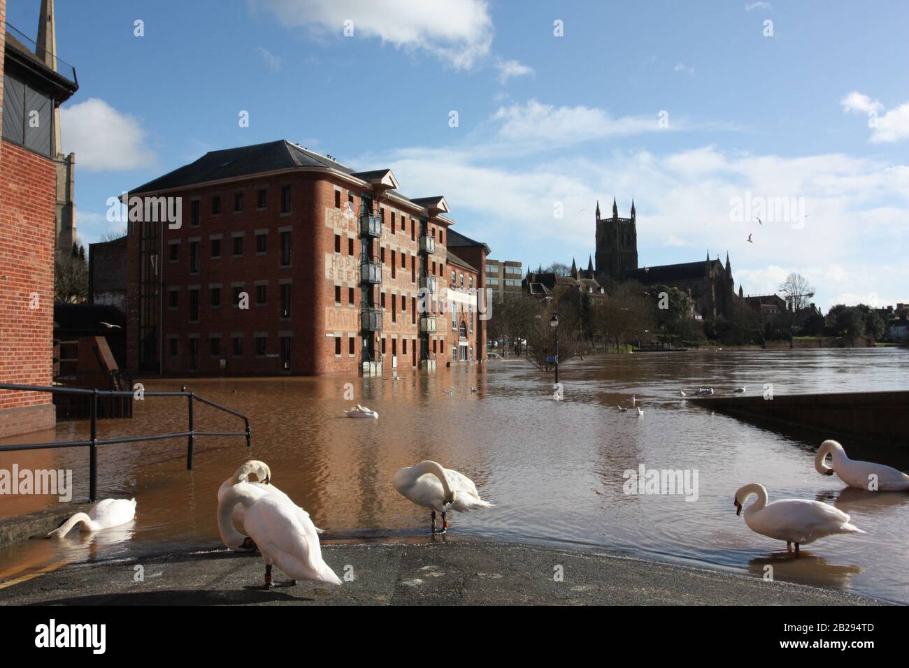 Worcester Cathederal, Worcester City, Inghilterra, Regno Unito, 13/02/2014 . Fiume Severn Allagato Dal Ponte Sabrina. Flood Peak Time River scoppiò le sue banche e le acque di drenaggio delle tempeste si sono appoggiate dopo una forte caduta della pioggia. Foto Stock