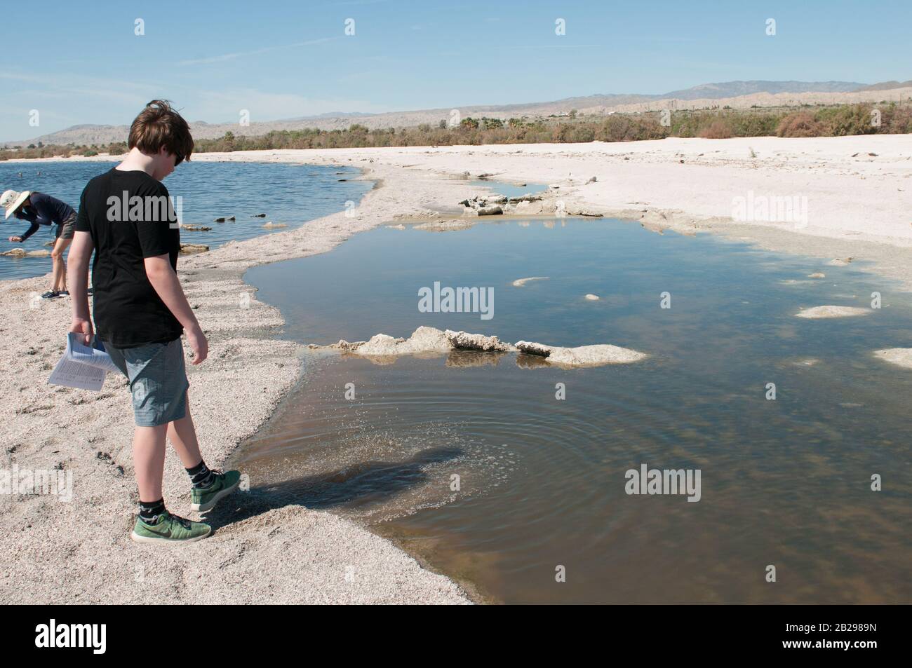 Un tempo un progetto di lago resort di metà secolo, ora disastro ambientale Salton Sea in California con alghe, pesci morti e derive di ossa di pesce decaduto Foto Stock