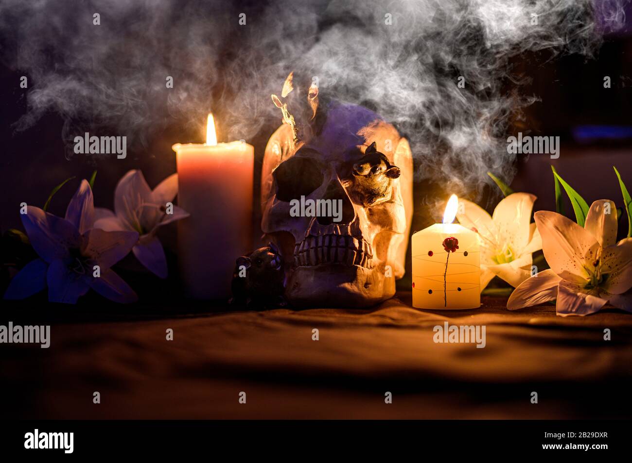 Halloween cranio nel buio circondato da fumo da candele Foto Stock