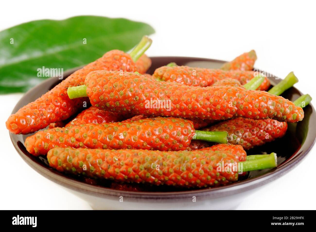 Pepe lungo, pepe indiano lungo, pepe giavanese lungo in ciotola Foto Stock