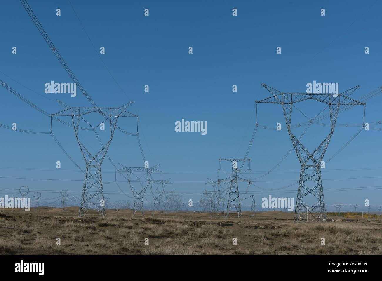 Piloni ad alta tensione su terreni erbosi asciutti Foto Stock