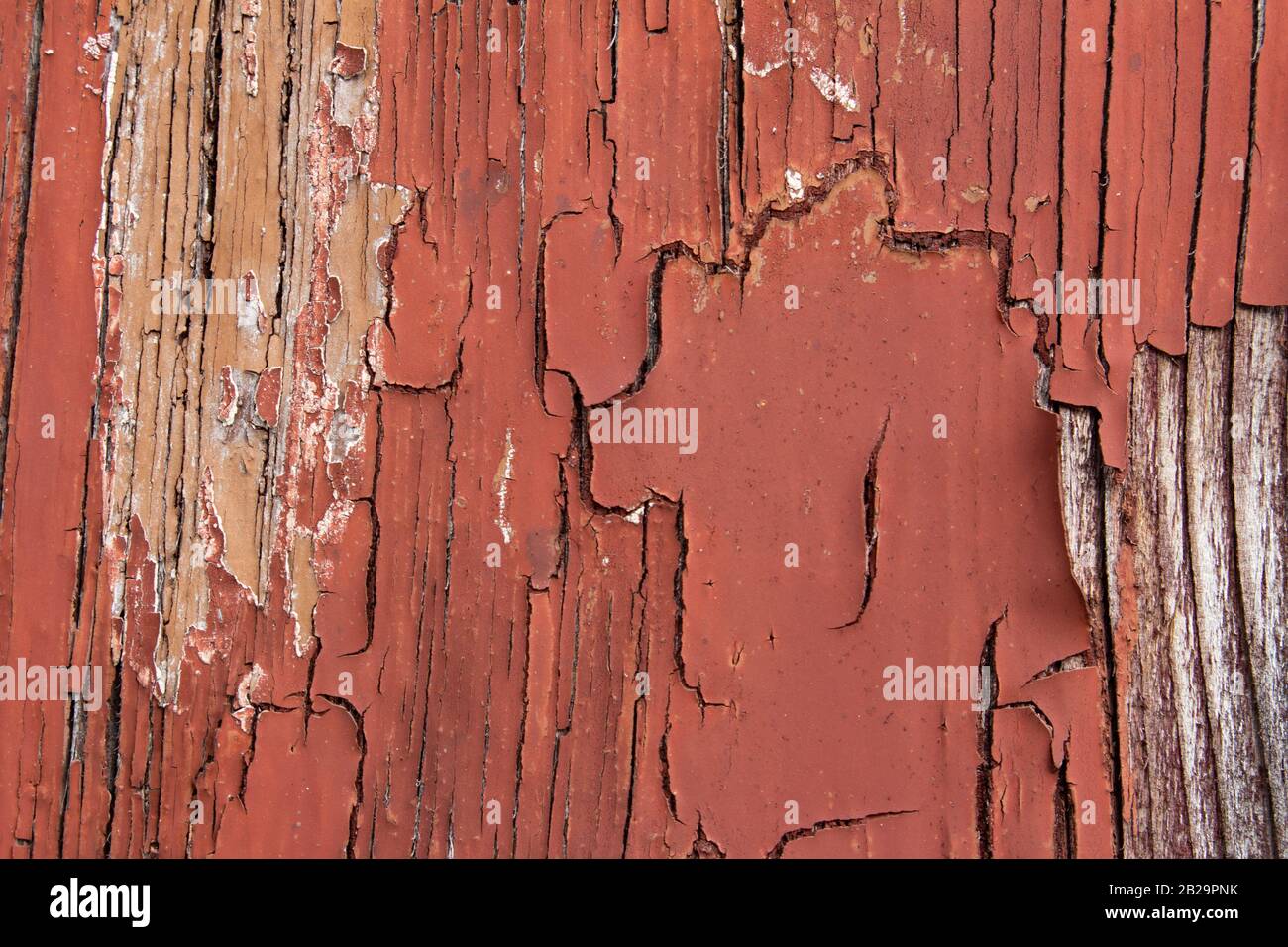 Tessitura di legno vecchio con vernice cracked rossa che si stacca Foto Stock