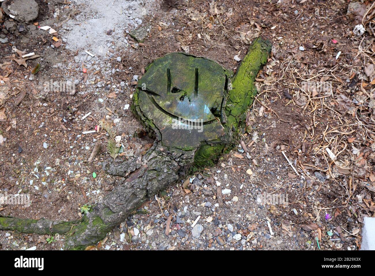 Un tronco di albero con il viso felice chainsaw marchi in un sidewalk albero buca littered con mozziconi di sigaretta a New York, NY. Foto Stock
