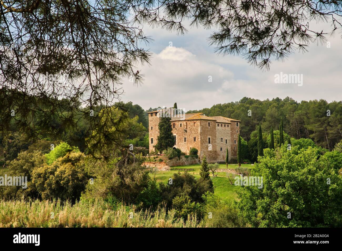 Antica casa di campagna circondata da cipressi e incorniciata dai rami di una pineta, Collserola, Catalogna Foto Stock