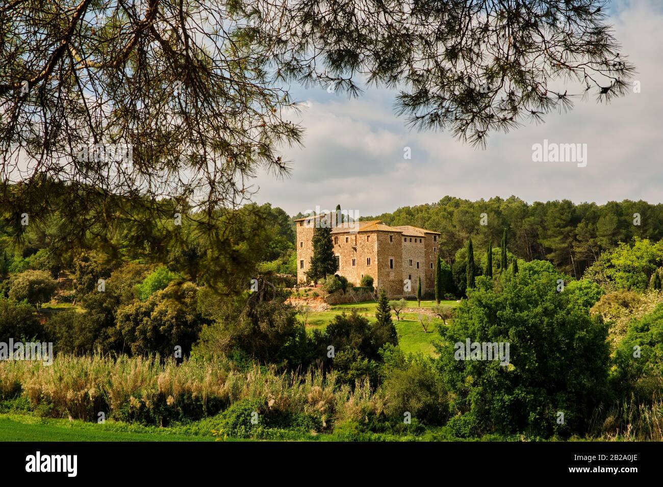 Antica casa di campagna circondata da cipressi e incorniciata dai rami di una pineta, Collserola, Catalogna Foto Stock