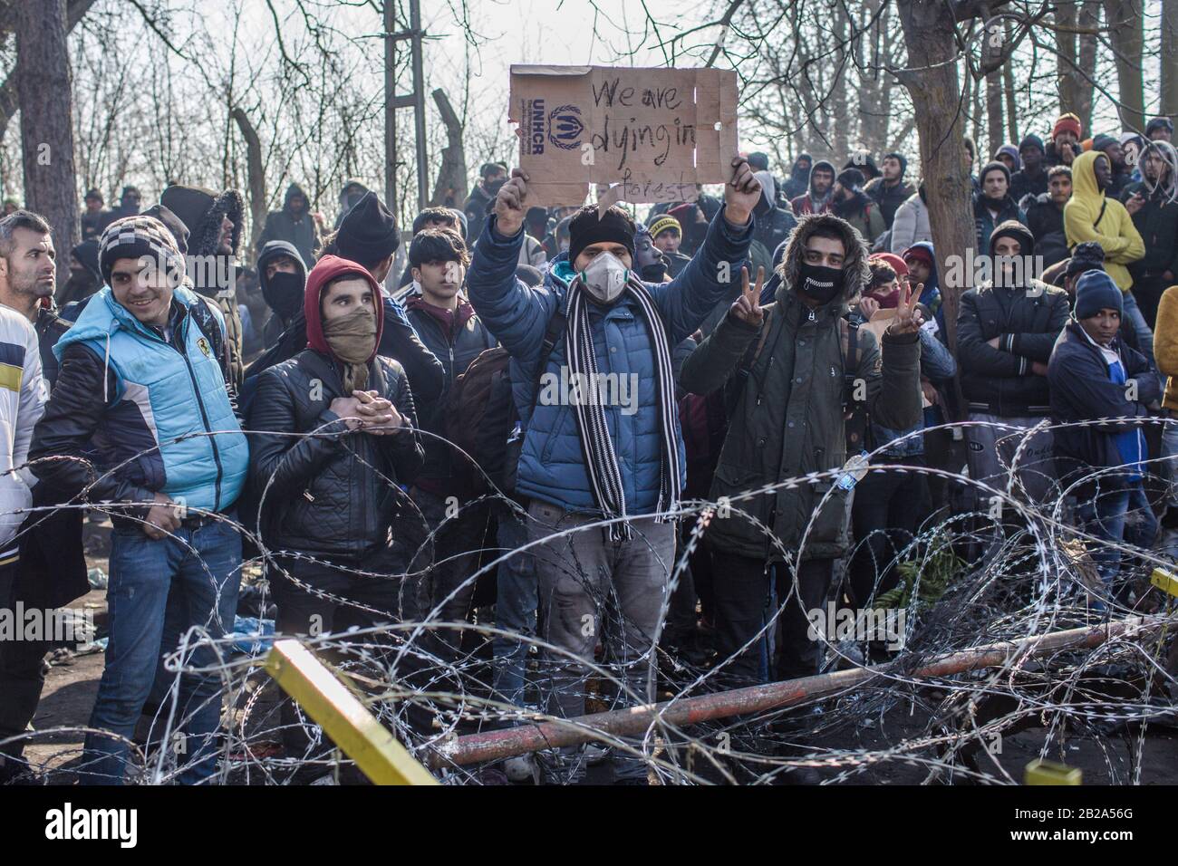 Pazarkule, Turchia. 01st Mar, 2020. I migranti si trovano al confine tra Turchia e Grecia, già chiuso, e hanno un cartello di cartone con la scritta "stiamo morendo nella foresta". Migliaia di rifugiati sono arrivati al valico di frontiera turco-greco con l’UE come destinazione, dopo migliaia di persone hanno già trascorso la notte sotto il cielo aperto. Credit: Ahmed Deeb/Dpa/Alamy Live News Foto Stock