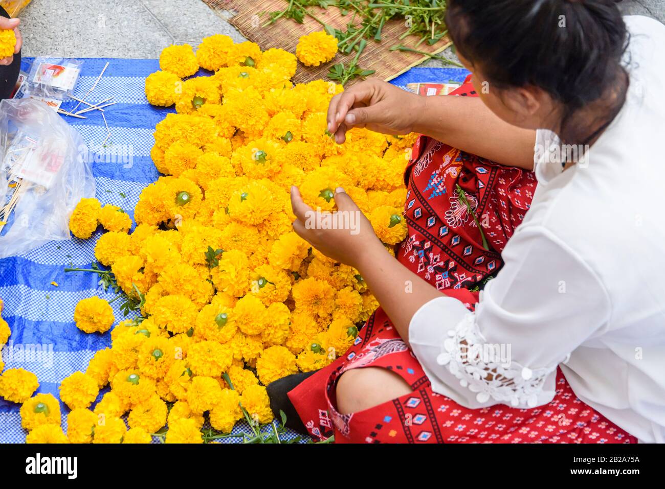 Una donna filo ghirlande di fiori di crisantemo arancione pronto a decorarlo per il Capodanno cinese Lunar, a Wat Songkhram, Bangkok, Thailandia Foto Stock