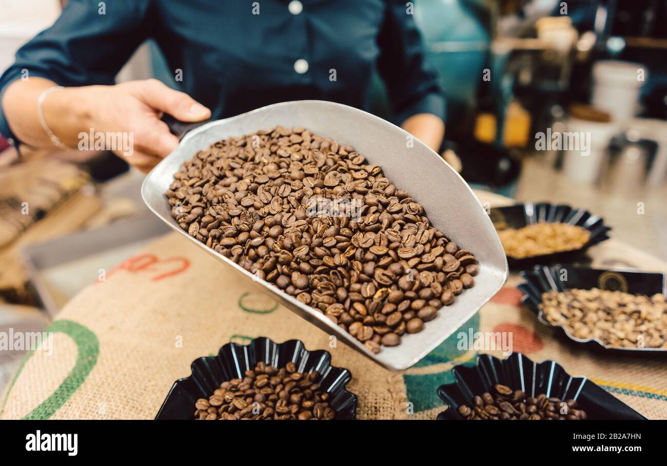 Diversi tipi di chicchi di caffè nella roastery Foto Stock