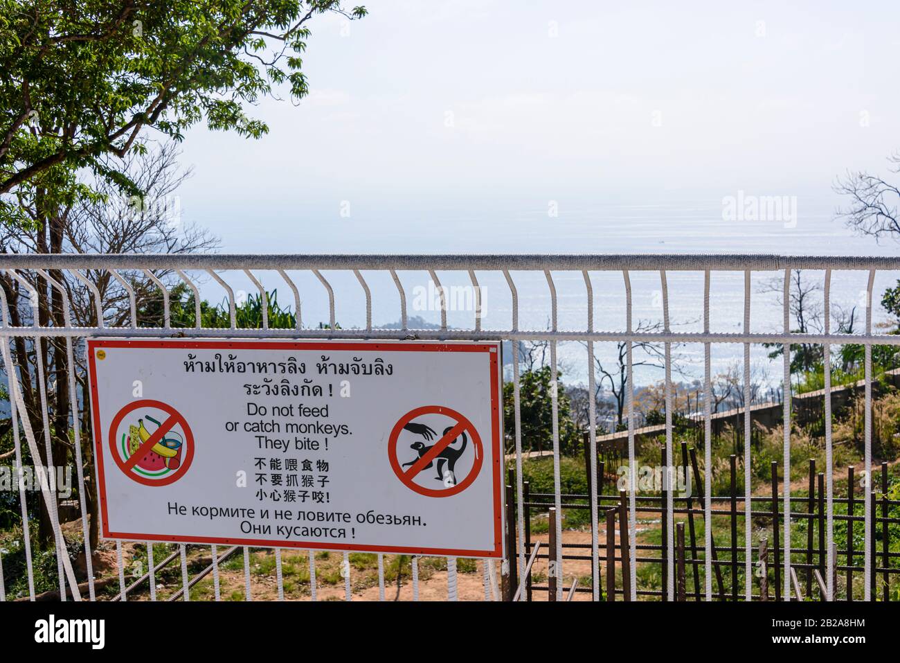 Segnale di avvertimento turisti a non nutrire o prendere le scimmie come mordono, in tailandese, inglese, cinese e russo, Thailandia Foto Stock