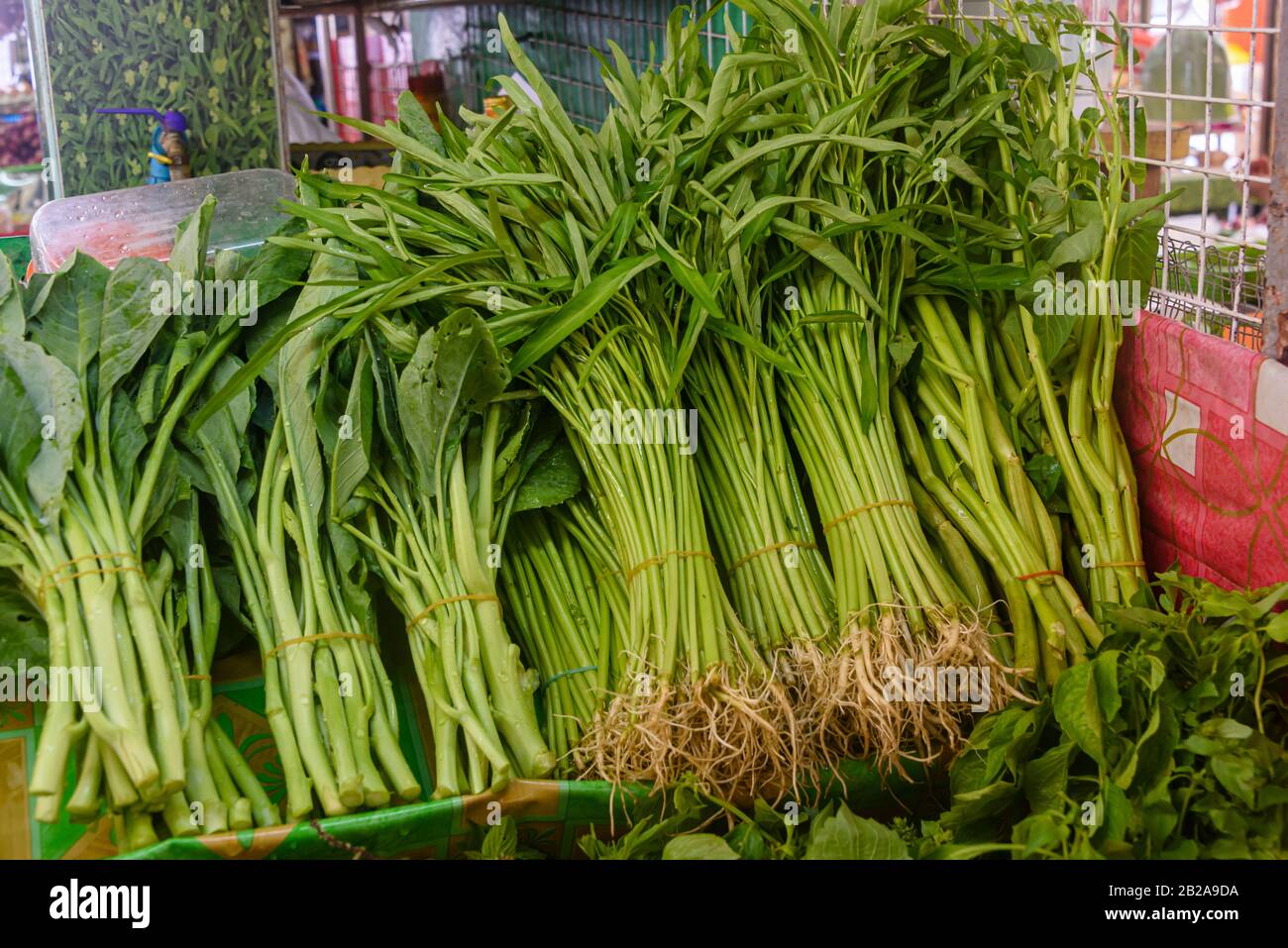 Morning Glory tradizionale cinese asiatico verdure verdi, noto anche come Acqua Spinach, per la vendita in uno stallo del mercato, Thailandia Foto Stock
