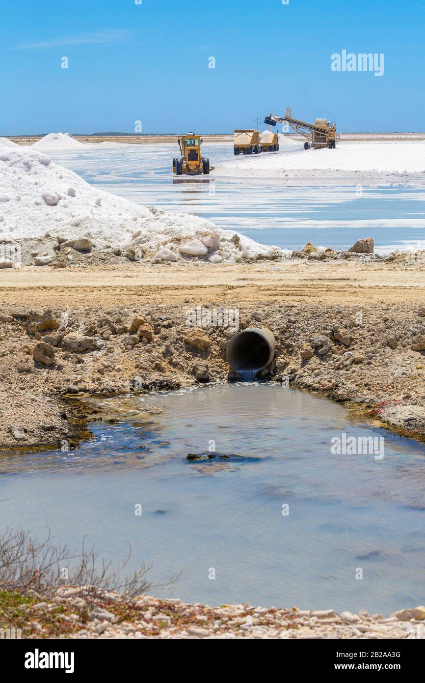 Paesaggio con veicoli che trasportano sale nell'industria su Bonaire Foto Stock