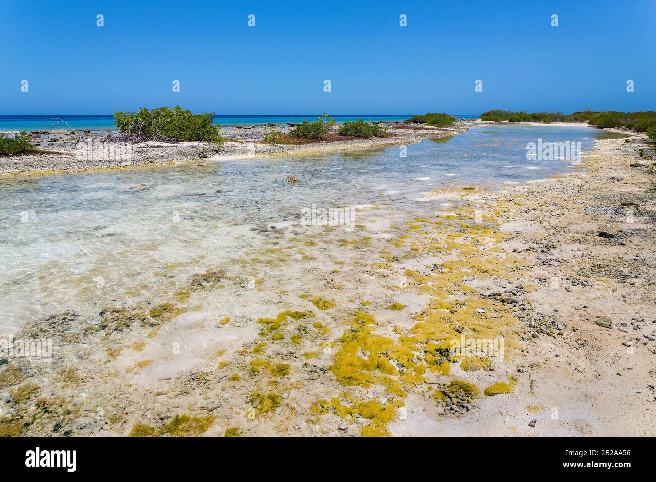 Poco profondo ancora acqua con mare a costa di Bonaire Foto Stock