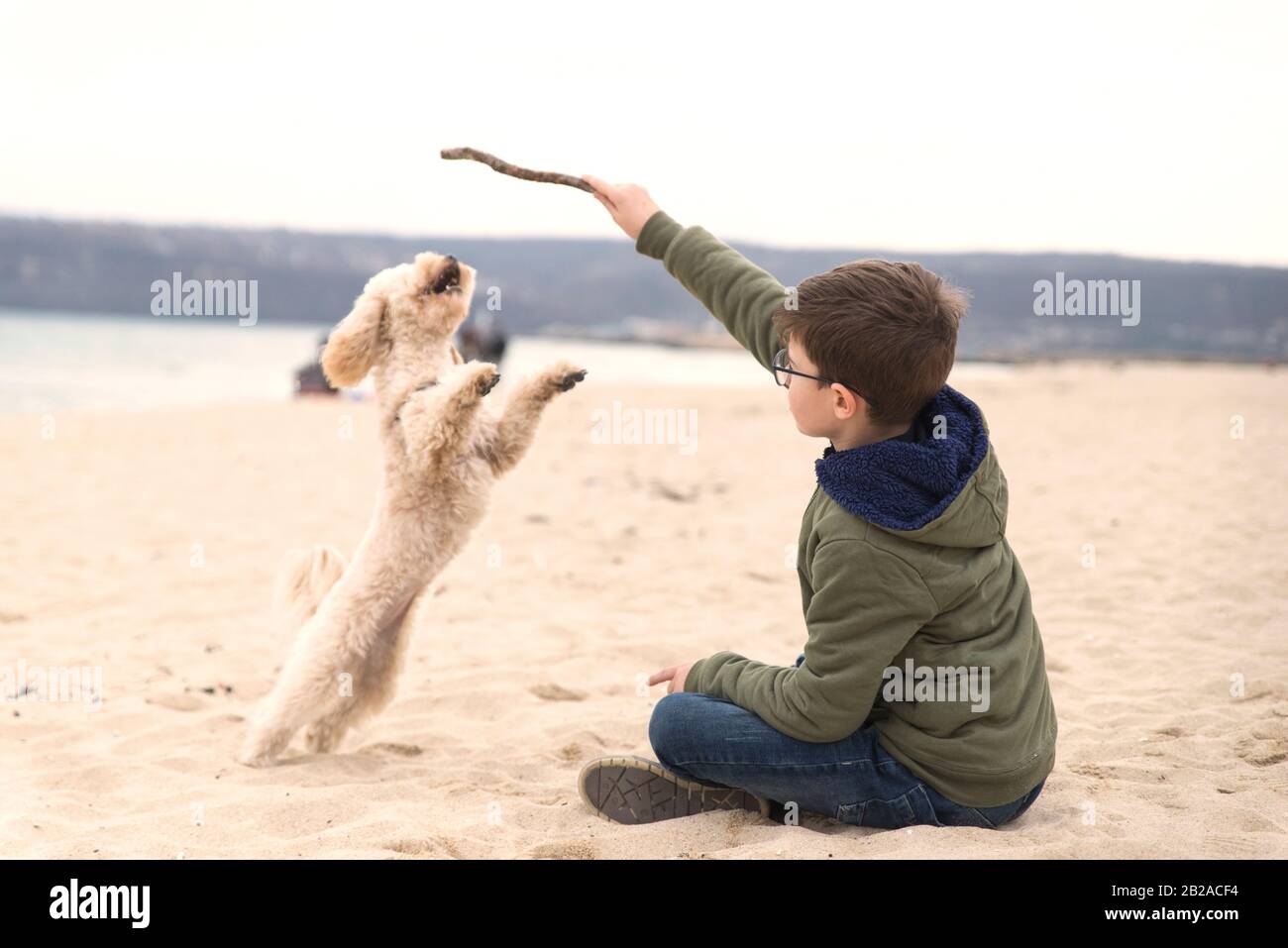 Ragazzo che tiene un bastone che gioca con il suo cane sulla spiaggia, Bulgaria Foto Stock
