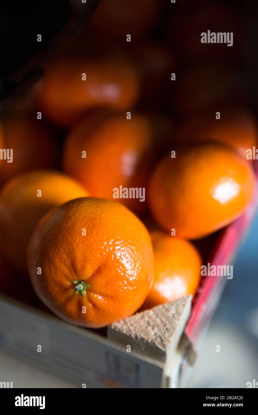 Primo piano di una cassa di satsuma Foto Stock