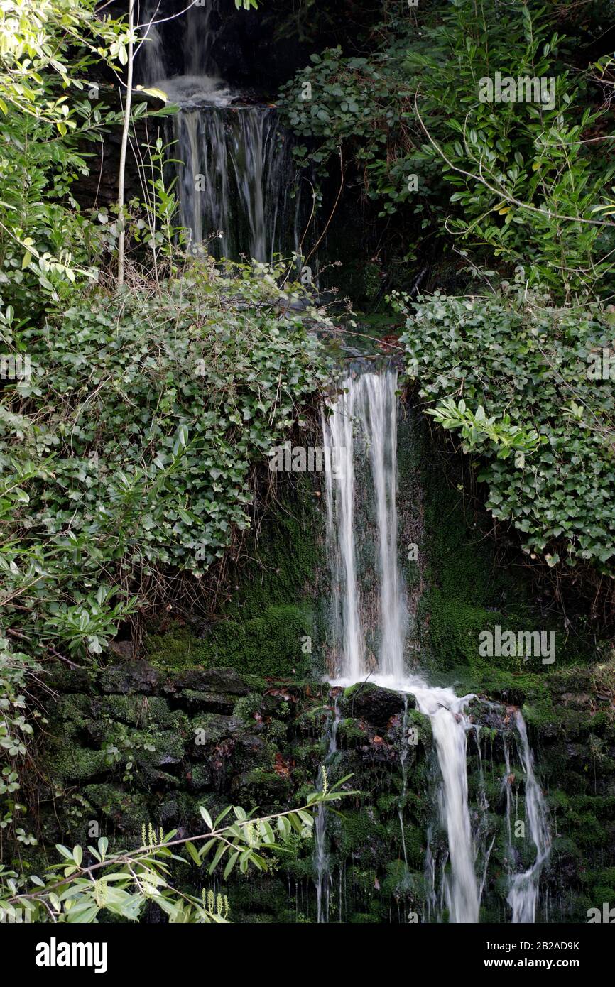 Cascata Di Tillingbourne ( Luoghi Segreti ) Foto Stock