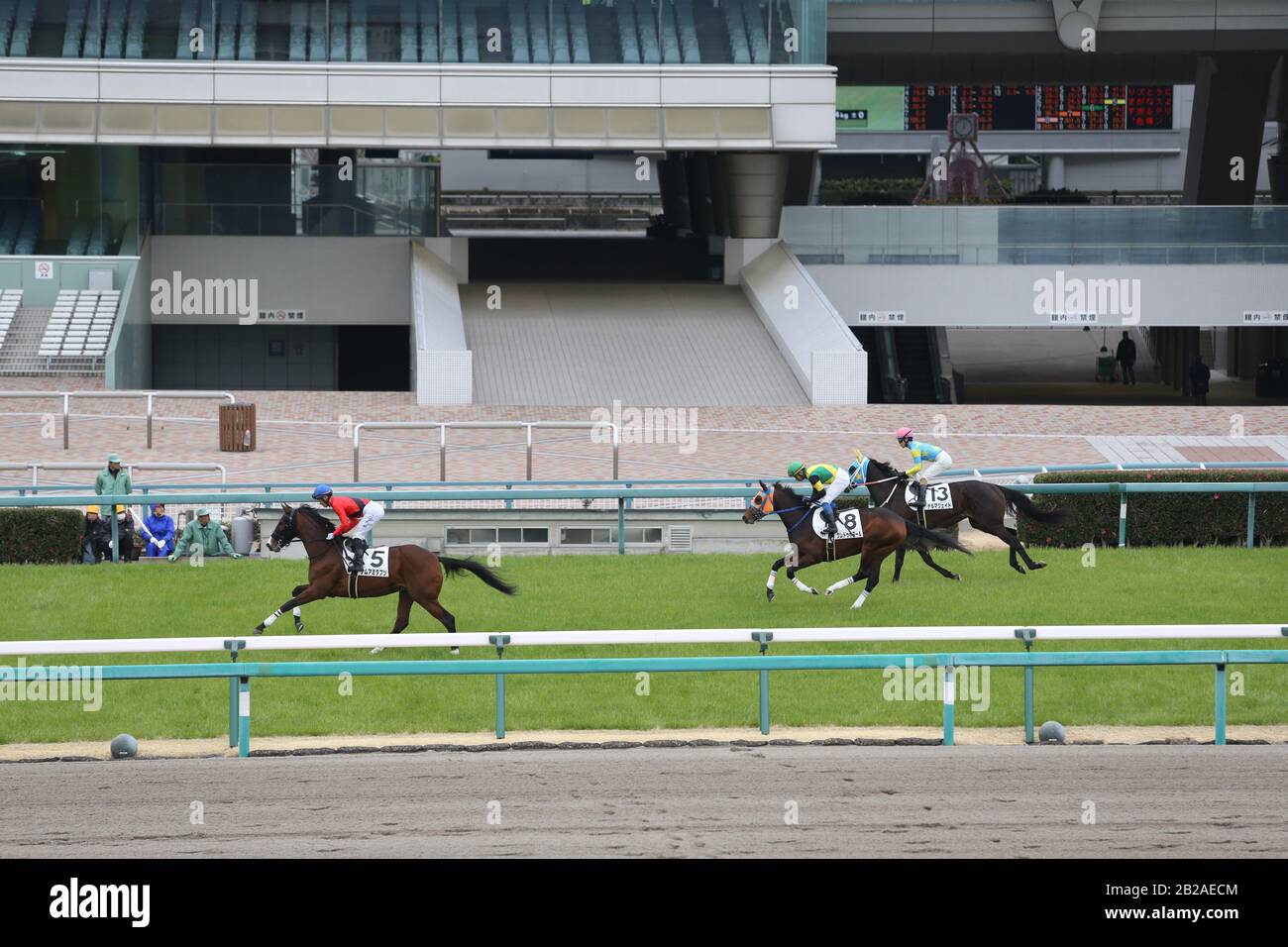 Cavalli e jockeys corrono davanti all'Hanshin 5R senza spettatori a causa della minaccia del diffondersi del coronavirus all'ippodromo di Hanshin il 29 febbraio 2020 a Hyogo, Giappone. Credito: Eiichi Yamane/Aflo/Alamy Live News Foto Stock