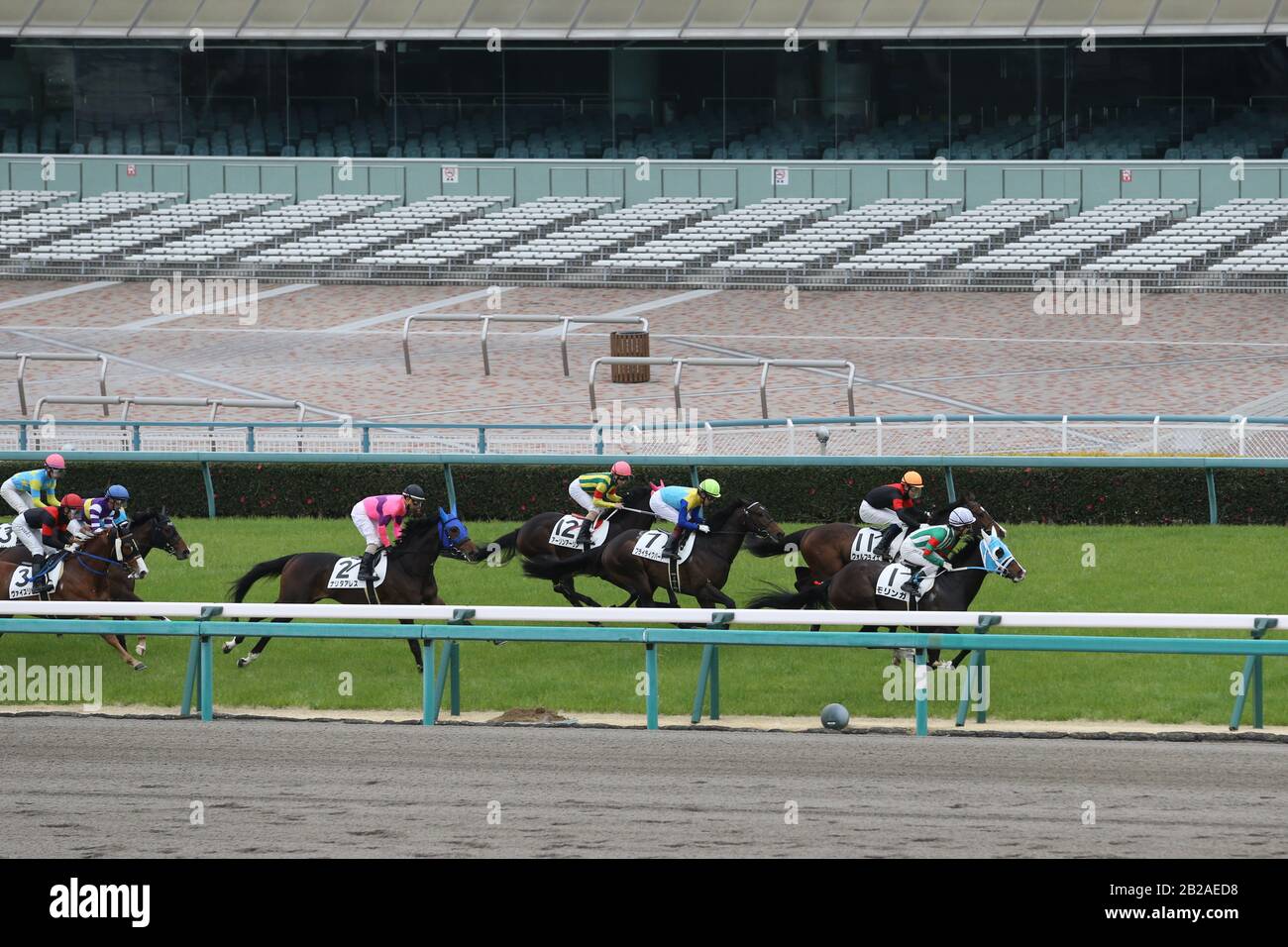 Cavalli e jockeys corrono il loro cammino durante l'Hanshin 5R senza spettatori a causa della minaccia del diffondersi del coronavirus all'ippodromo di Hanshin il 29 febbraio 2020 a Hyogo, Giappone. Credito: Eiichi Yamane/Aflo/Alamy Live News Foto Stock