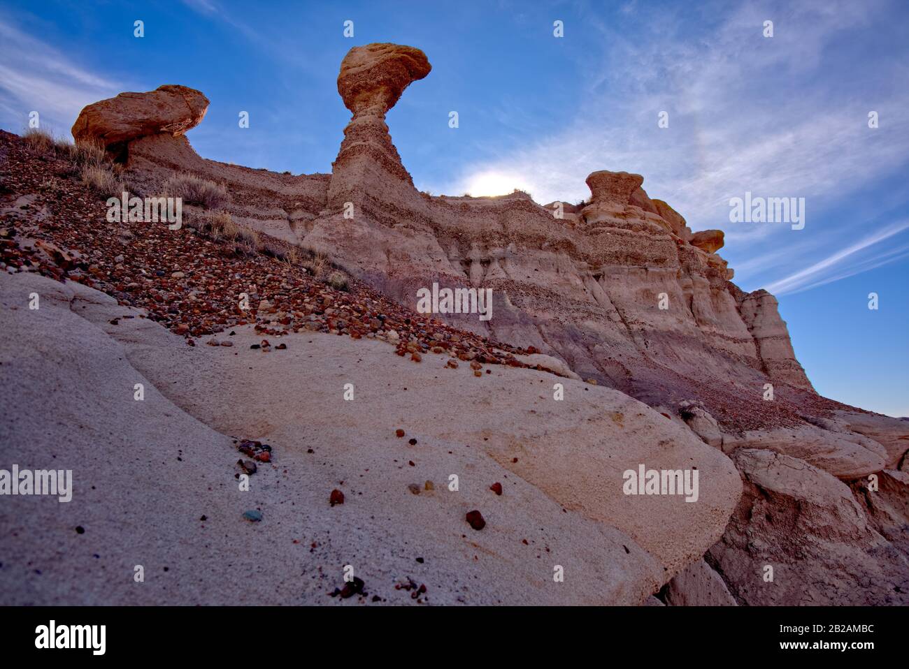 Hoodoos, Jasper Forest, Petrificed Forest National Park, Arizona, Stati Uniti Foto Stock