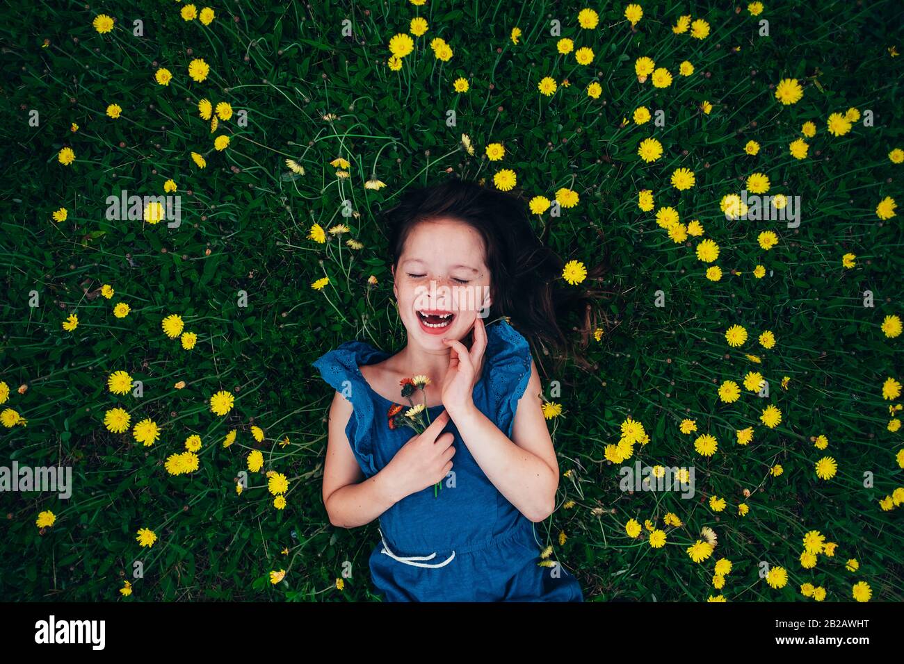 Vista aerea di una ragazza felice sdraiata in un prato che tiene fiori selvatici, Stati Uniti Foto Stock