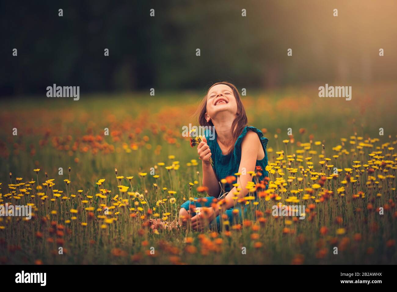 Ragazza felice seduta in un prato che raccoglie fiori selvatici, Stati Uniti Foto Stock