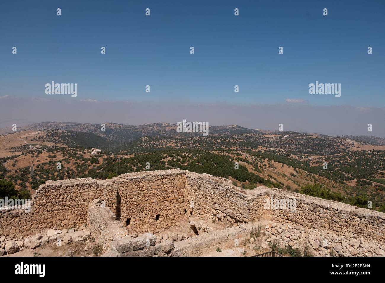 Il castello di Ajloun nel nord-ovest della Giordania. Paesi arabi e crociati fort. Foto Stock